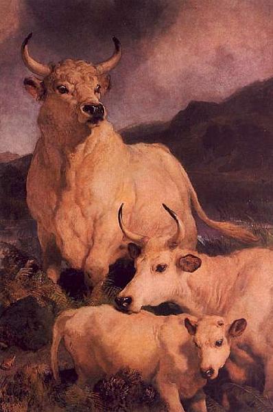 Sir Edwin Landseer Wild Cattle at Chillingham